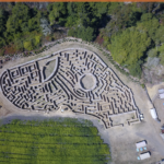 Singles Bay Area- Hay Maze in Half Moon Bay