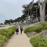 Singles Bay Area - hiking in Tennessee Valley Trailhead