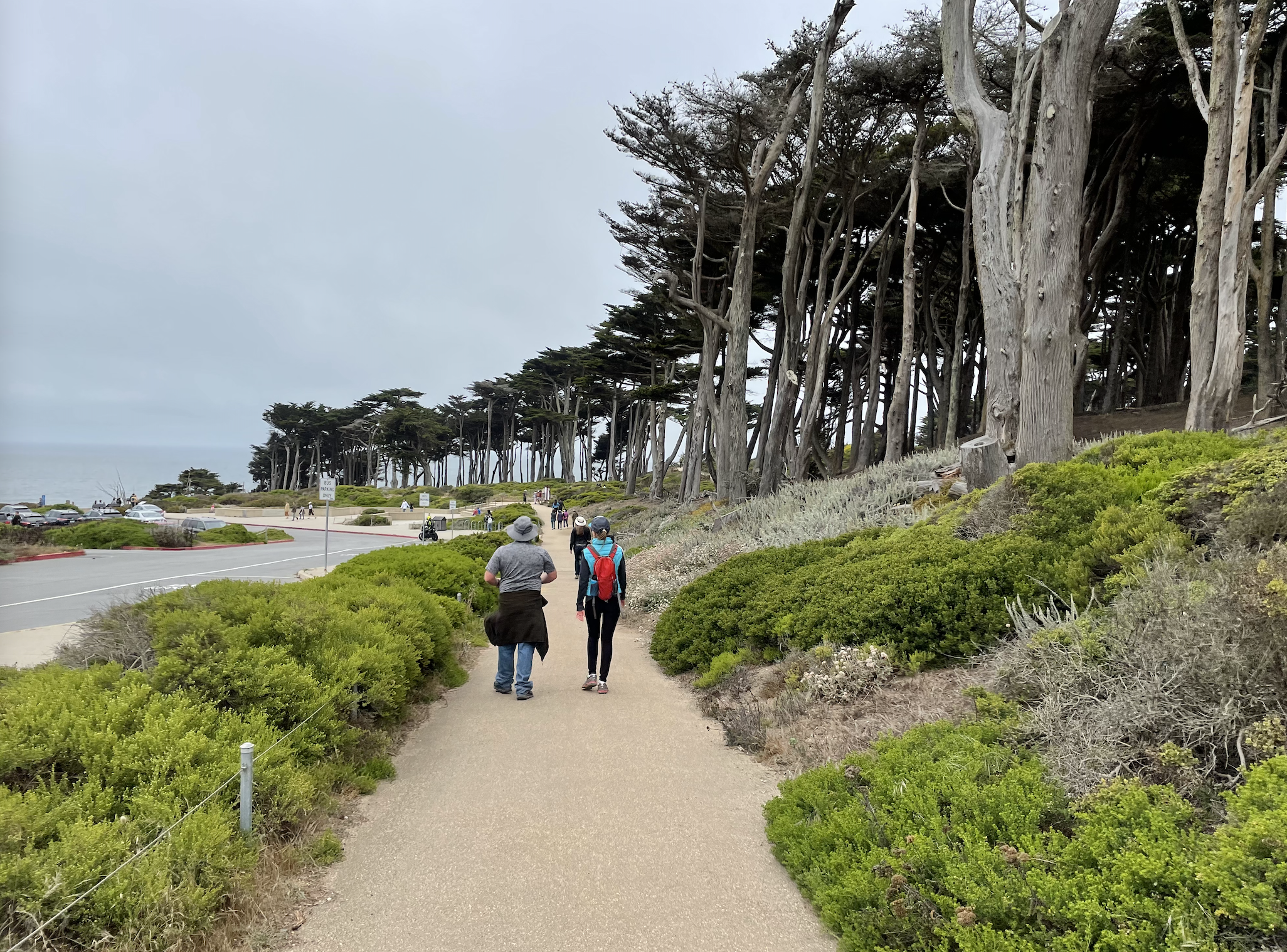 Singles Bay Area - hiking in Tennessee Valley Trailhead