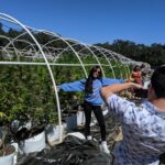 Visit a Cannabis Farm on a Bus Tour from San Francisco